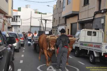 Romerías del Carmen en Marpequeña, Medianía y Las Huesas (Foto TF y TA)